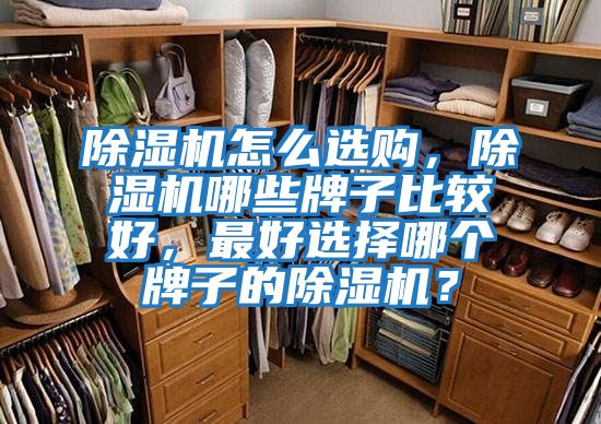 除濕機(jī)怎么選購,除濕機(jī)哪些牌子比較好,最好選擇哪個牌子的除濕機(jī)?