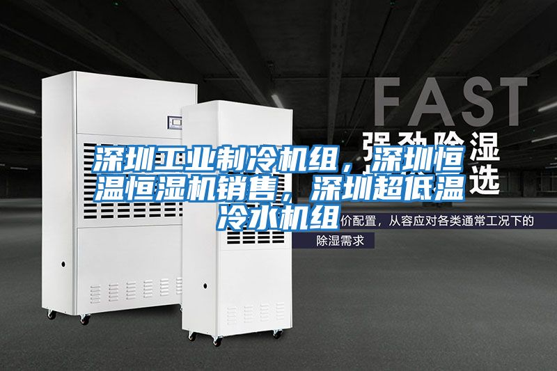 深圳工業制冷機組，深圳恒溫恒濕機銷售，深圳超低溫冷水機組