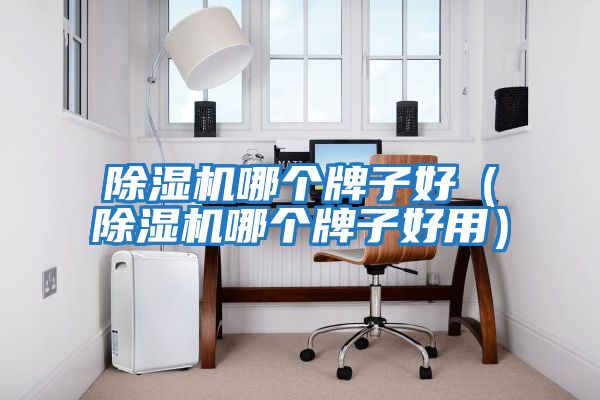 除濕機哪個牌子好(除濕機哪個牌子好用)