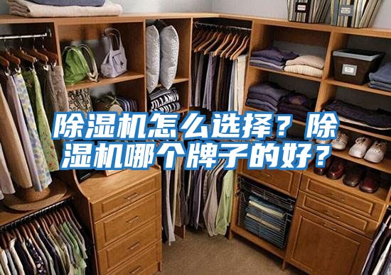 除濕機(jī)怎么選擇？除濕機(jī)哪個牌子的好？