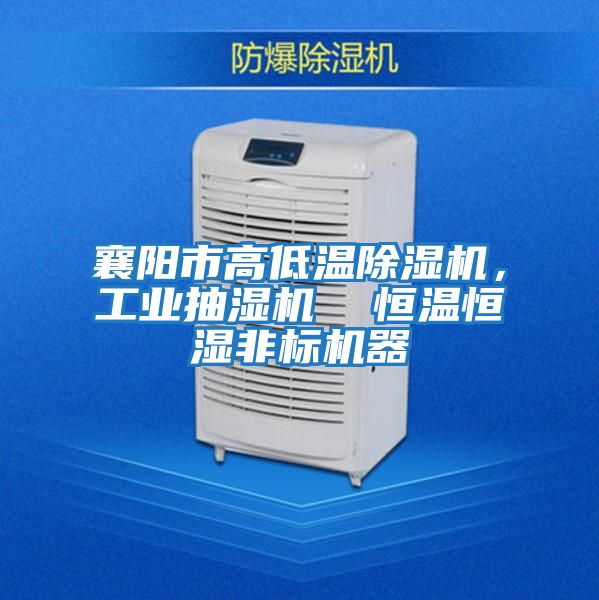襄陽市高低溫除濕機,工業抽濕機 恒溫恒濕非標機器