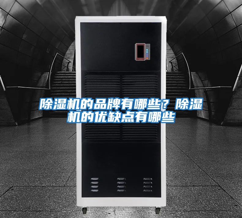 除濕機的品牌有哪些?除濕機的優缺點有哪些