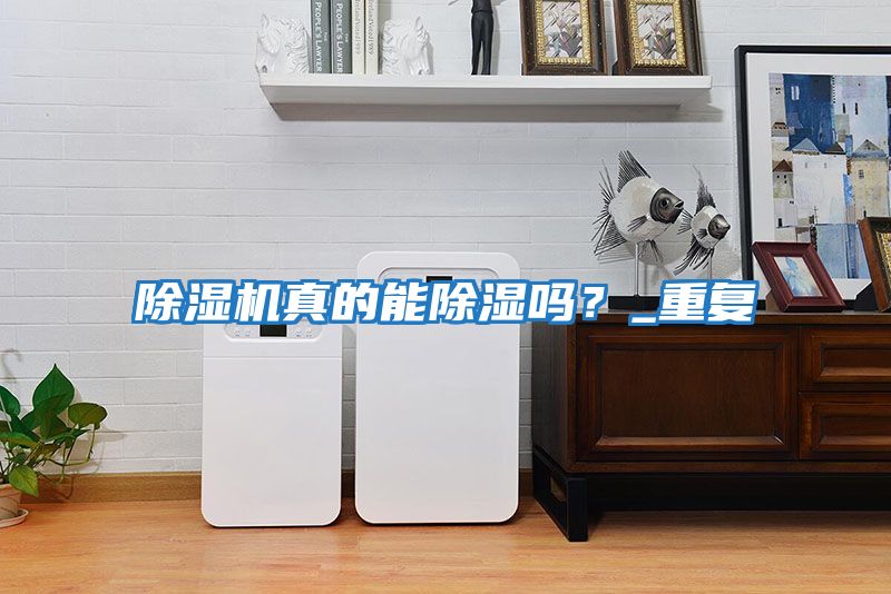 除濕機真的能除濕嗎？_重復(fù)