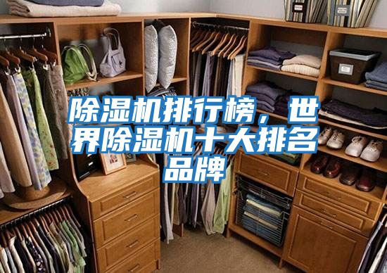 除濕機排行榜,世界除濕機十大排名品牌