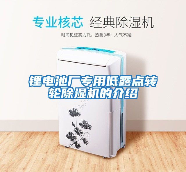 鋰電池廠專用低露點轉(zhuǎn)輪除濕機(jī)的介紹