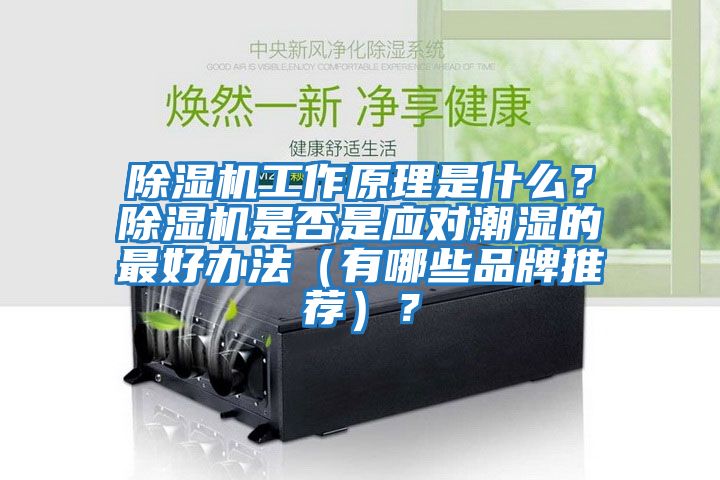 除濕機工作原理是什么？除濕機是否是應對潮濕的最好辦法（有哪些品牌推薦）？