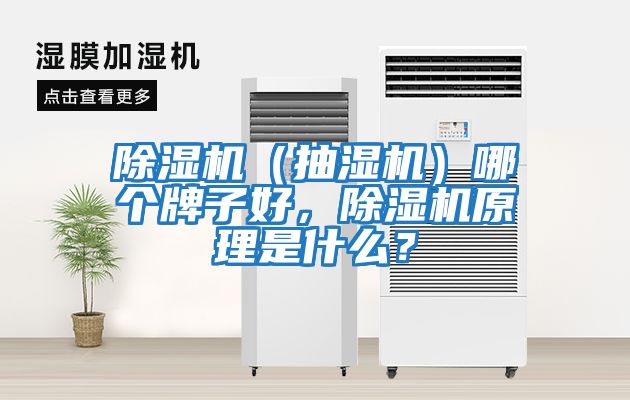 除濕機（抽濕機）哪個牌子好，除濕機原理是什么？