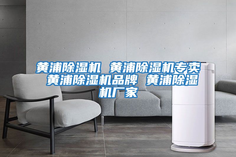 黃浦除濕機(jī) 黃浦除濕機(jī)專賣(mài) 黃浦除濕機(jī)品牌 黃浦除濕機(jī)廠家
