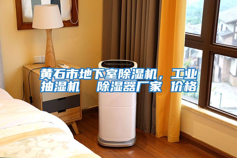 黃石市地下室除濕機，工業抽濕機  除濕器廠家 價格
