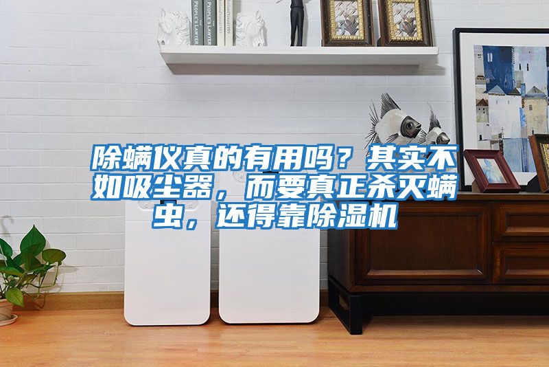 除螨儀真的有用嗎？其實不如吸塵器，而要真正殺滅螨蟲，還得靠除濕機