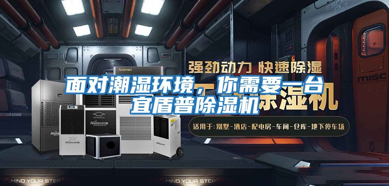 面對潮濕環境,你需要一臺宜盾普除濕機