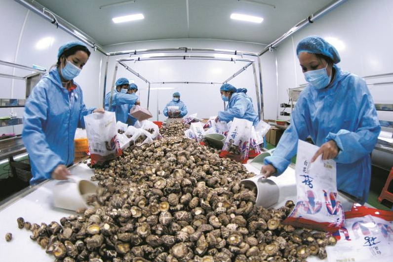 微信圖片_20211215154433 微信圖片_20211215154433